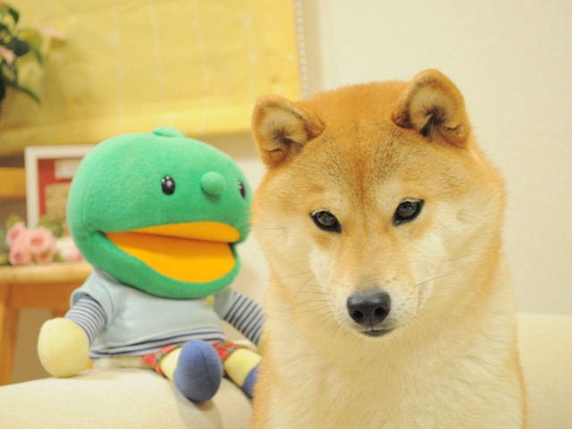 Kabo-chan sitting shoulder to shoulder with Kabosu on a couch